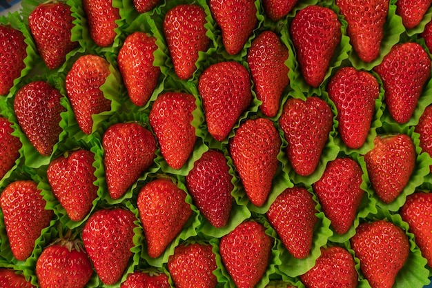 Embalaje de fábrica de fresas para venta al por mayor.