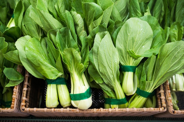 Embale a salada choi asia no balcão de vegetais