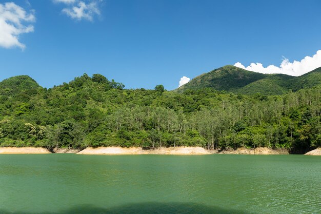 Embalse y bosque