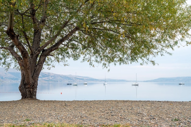 Foto el embalse marítimo de tbilisi y los barcos con velas desinfladas