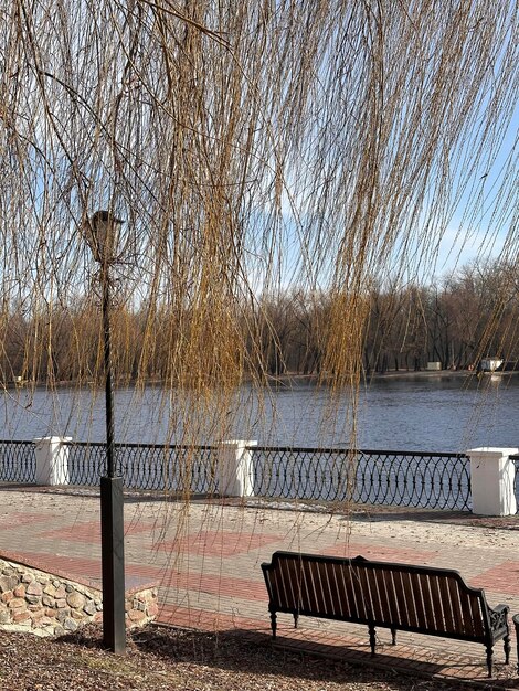 embankment do rio Sozh em Gomel