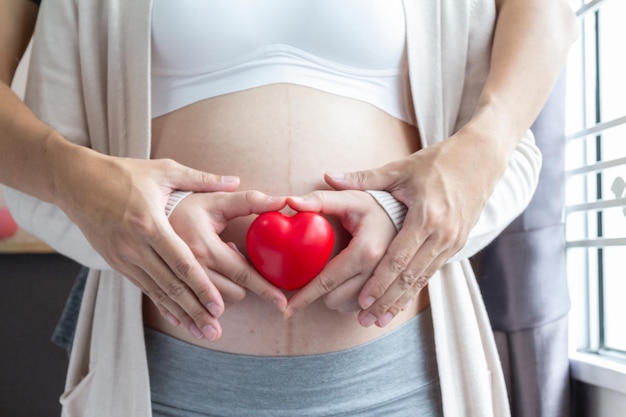 Embarazo Concepto amoroso Manos de los padres sosteniendo un corazón en el vientre
