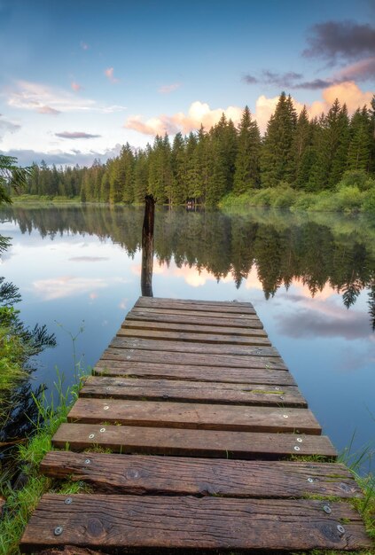 Un embarcadero en un lago rodeado de árboles.