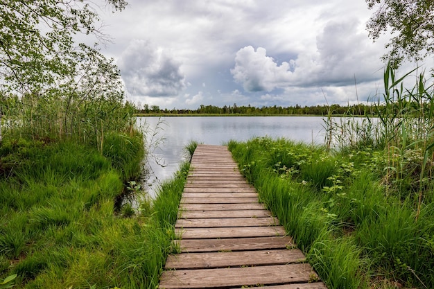 Un embarcadero de madera con juncos verdes en la orilla del lago y nubes en el cielox9