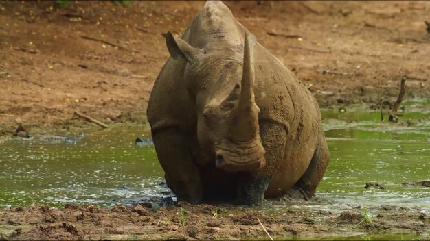 Embárquese en un fascinante viaje a través de las cautivadoras maravillas de Caprivi Game Park