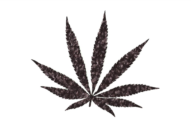 Emblema de hoja de cannabis aislado sobre fondo blanco