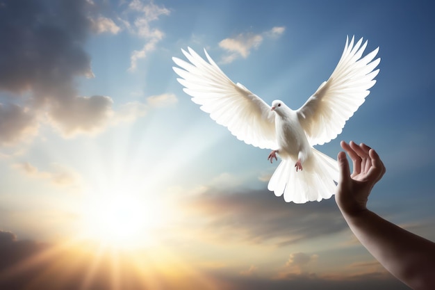 Emblema de las libertades Manos soltando una paloma en el aire un poderoso símbolo de libertad y paz