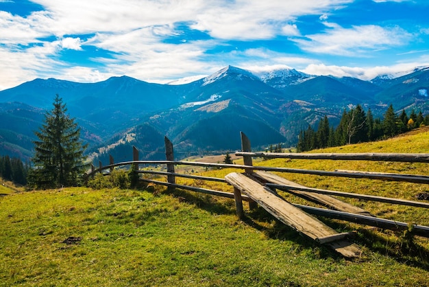 Embrujar el hermoso paisaje de verano de prados verdes