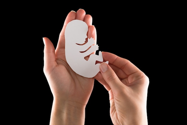 Embryo Silhouette in Frauenhand