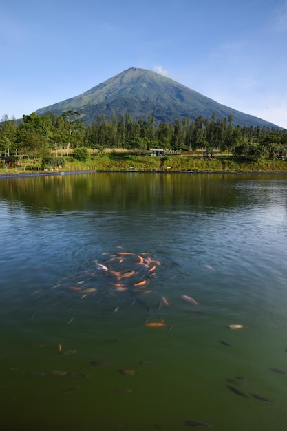 Embung Kledung es un pequeño embalse artificial en el distrito de Kledung Temanggung Indonesia