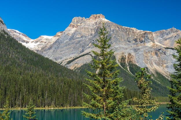 Emerald Lake en un día soleado de verano con Michael Peak Mountain en el fondo. Parque Nacional Yoho, Canadian Rockies, British Columbia, Canadá.