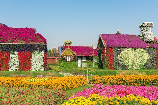 Emirados Árabes Unidos, Dubai - 30 de dezembro: jardim milagroso de dubai com mais de um milhão de flores em um dia ensolarado, 30 de dezembro de 2014