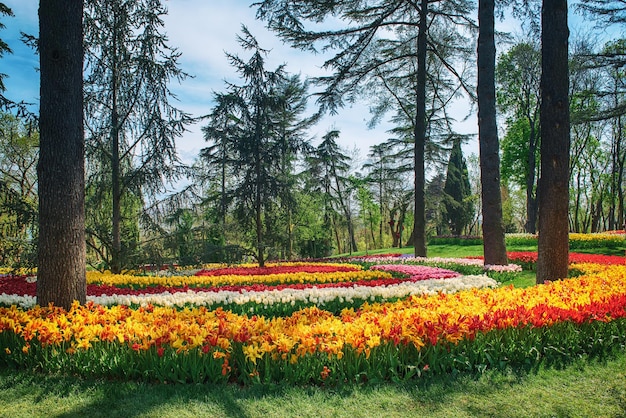 Emirgan-Park Istanbul