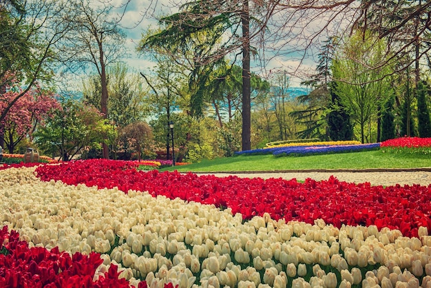 Emirgan-Park Istanbul