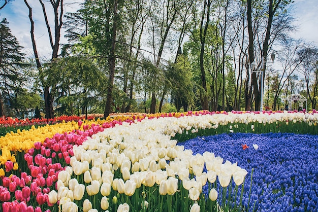 Emirgan-Park Istanbul