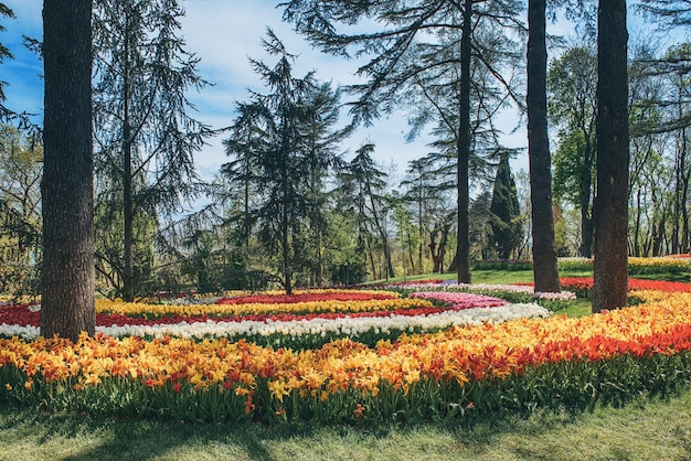 Emirgan-Park Istanbul