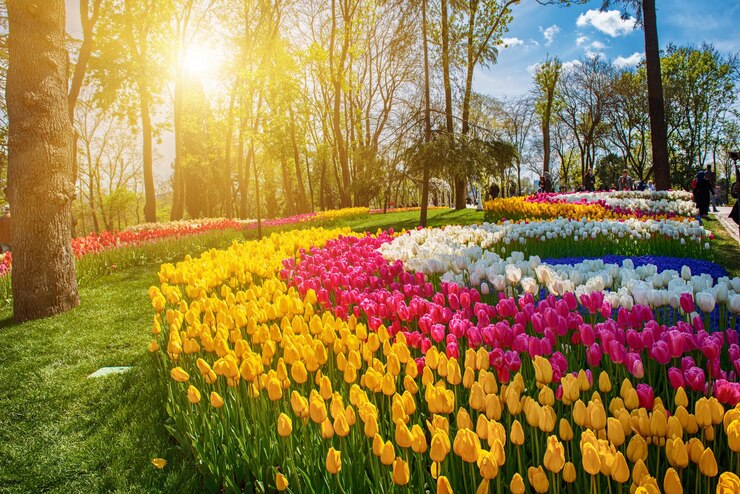 Foto emirgan-park istanbul