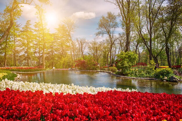 Emirgan-Park Istanbul