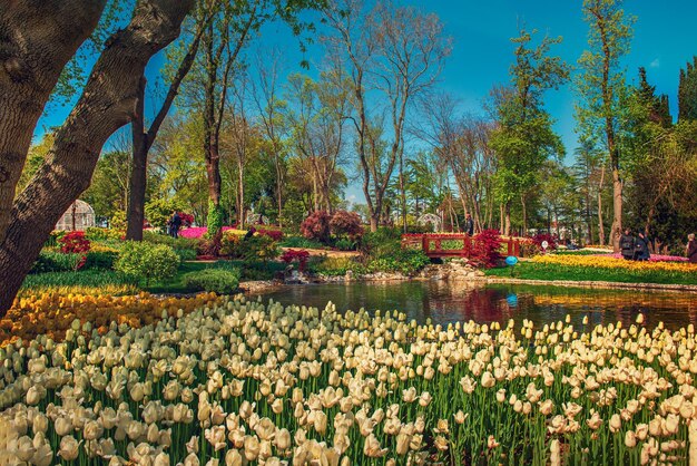 Emirgan-Park Istanbul