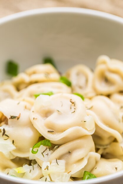 Empanadillas de carne - pelmeni ruso, raviolis con carne