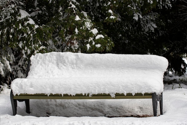 Empaque un banco bajo la nieve mientras la nieve continúa cayendo para una escena invernal