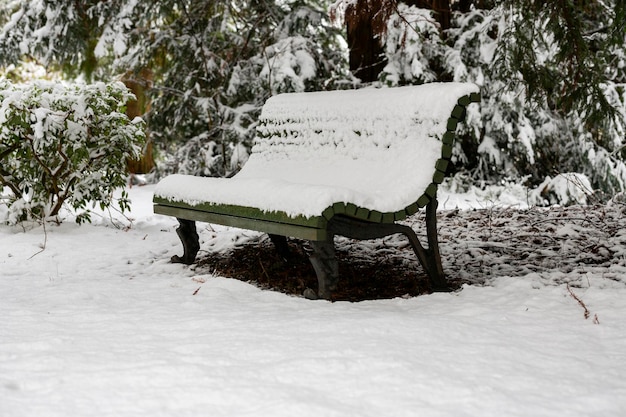 Empaque un banco bajo la nieve mientras la nieve continúa cayendo para una escena invernal