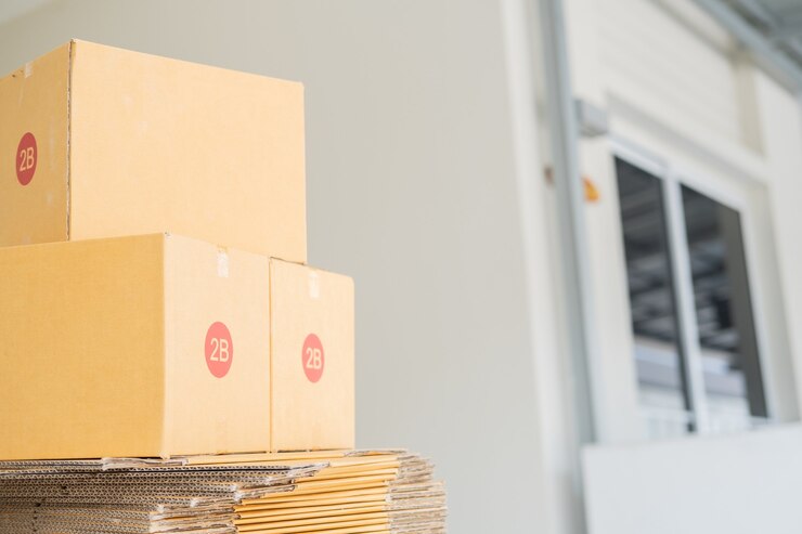 Empaquetado del producto del paquete de la caja
