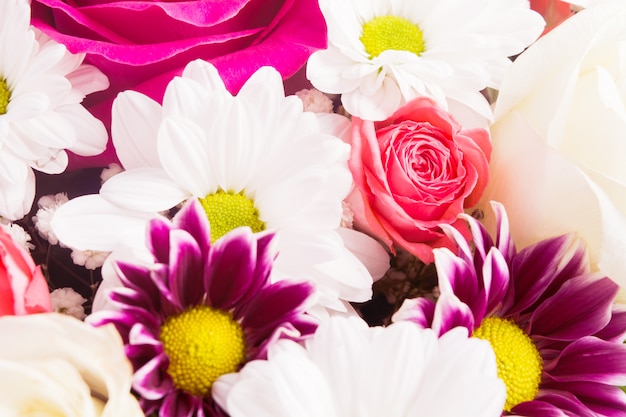 Empfindliche Farben des Blumenstraußes mit Rosen- und Kamillenhintergrund