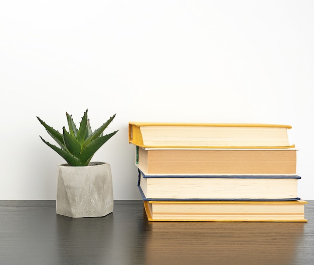 Empilhe livros sobre uma mesa preta e uma panela de cerâmica com uma planta verde