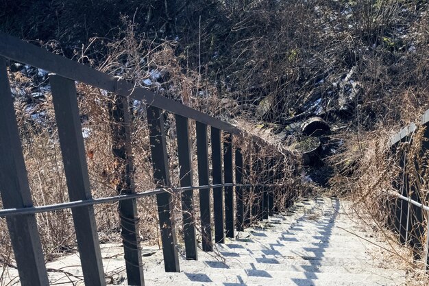 Empinadas escaleras viejas hacia abajo en el parque de otoño