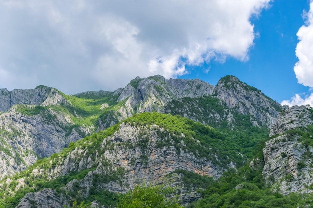 Empinadas laderas de montaña en los cañones a lo largo del río Moraca