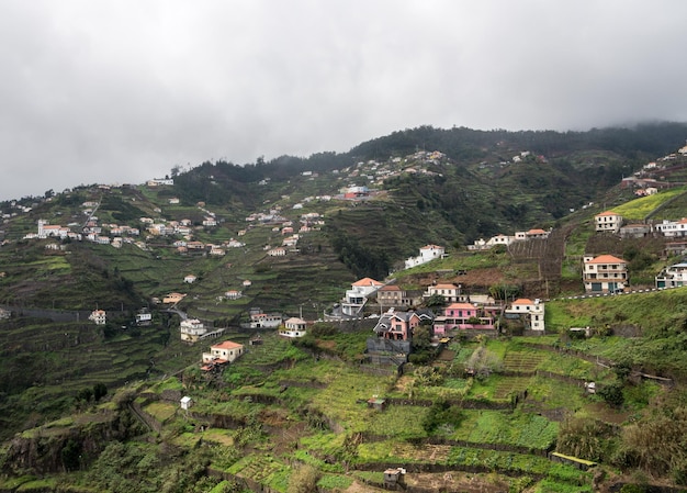 Empinados campos en terrazas cerca de Funchal en Madiera