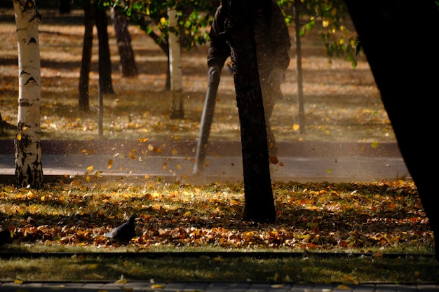 El empleado limpia la acera con un soplador de hojas de otoño caídas en el parque