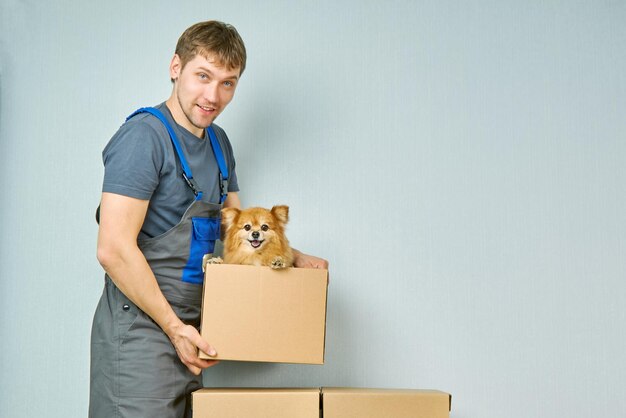 La empresa de mudanzas profesional transporta un gracioso perro rojo en una caja de cartón