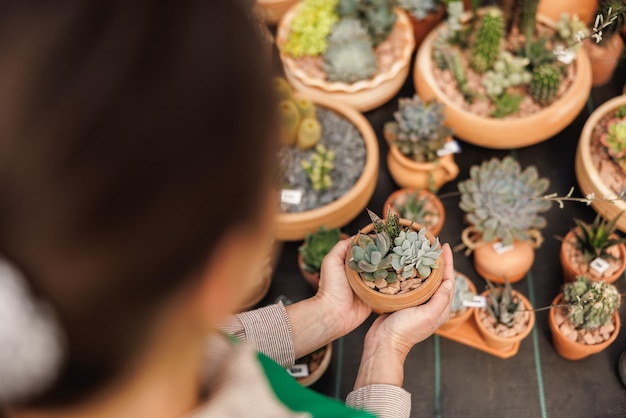 Una empresaria irreconocible cuidando plantas suculentas en macetas en un centro de jardinería.