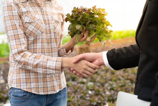 Empresario y agricultor se dan la mano para un acuerdo de calidad de producto hidropónico vegetal en una granja