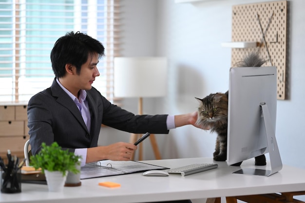 Empresario asiático milenario jugando con su adorable gato mientras trabaja en casa