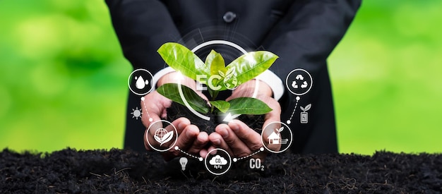 Empresário cultivando plantas com ícone de design ecológico simboliza o compromisso com o negócio ambiental, cultivando plantas para reduzir as emissões de carbono para um futuro sustentável Panorama Reliance
