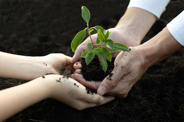 Empresário e criança cultivam e nutrem planta em solo fertilizado conceito de giro