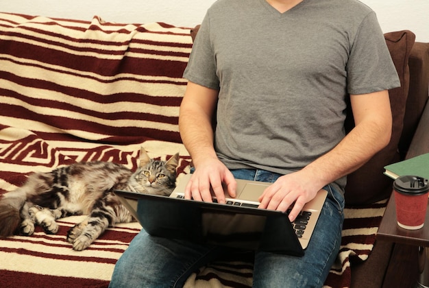 Empresário e gato trabalhando em casa com um laptop no sofá.