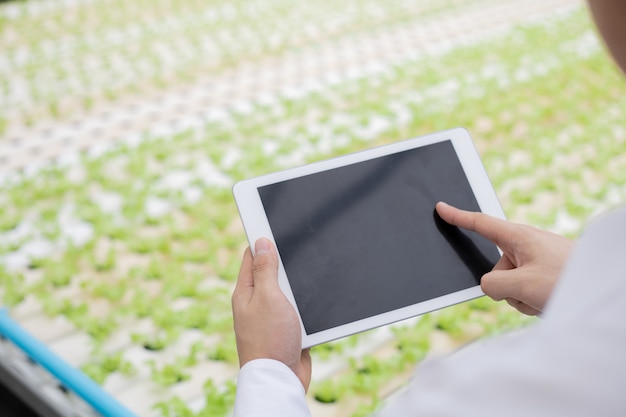 Foto empresário examina e registra os relatórios de qualidade dos vegetais orgânicos na fazenda por meio de tablet. verificar rigorosamente os vegetais da fazenda. os agricultores usam o tablet para verificar a qualidade do vegetal.