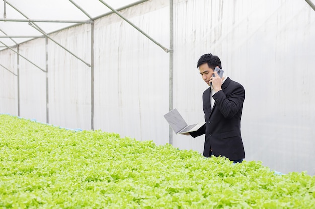 Empresário fala ao telefone com o cliente na fazenda de hidroponia vegetal