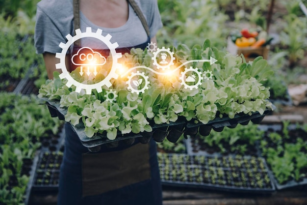 Empresário futurista cultiva vegetais e colheitas usando tecnologia moderna de ia usando sensores de temperatura e umidade de telefones celulares rastreamento de água controle climático ícones de dados holográficos