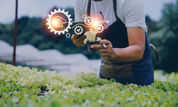 Empresário futurista cultiva vegetais e colheitas usando tecnologia moderna de IA usando sensores de temperatura e umidade de telefones celulares rastreamento de água controle climático ícones de dados holográficos