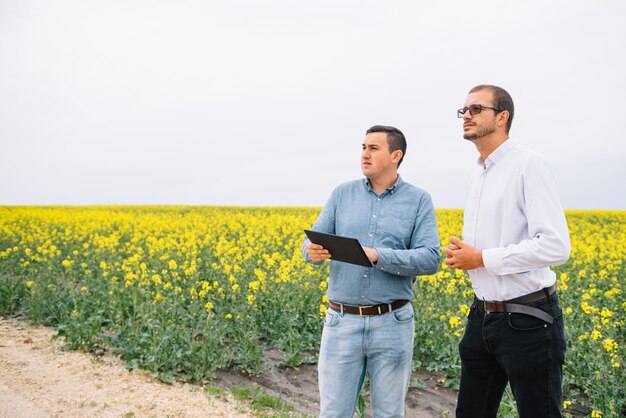 empresários em pé no campo de colza