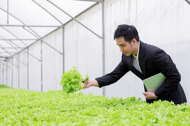 Empresários examinam relatórios de qualidade de vegetais orgânicos.