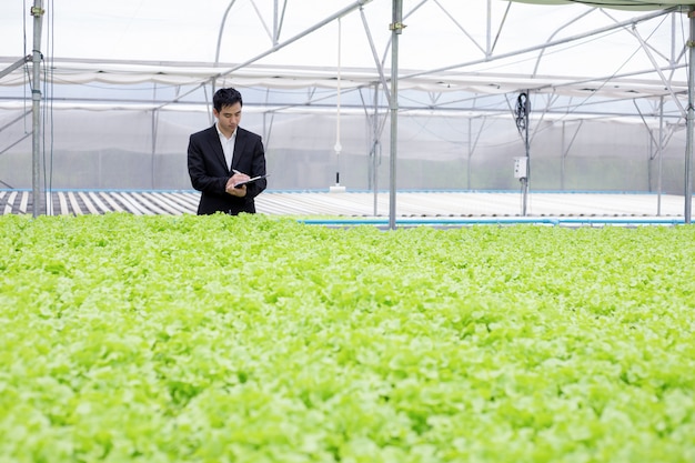 Los empresarios examinan y registran los informes de calidad de las verduras orgánicas.