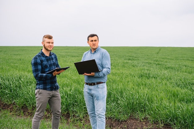 Empresarios de pie en un campo de trigo y mirando en la computadora portátil