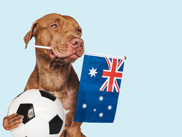 Encantador adorable cachorro sosteniendo la bandera de Australia