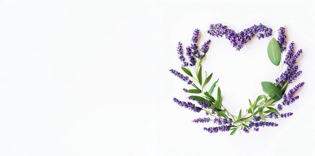 Encantador amor de lavanda fondo blanco IA generativa